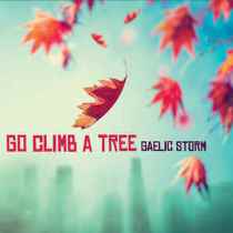 GaelicStorm_GoClimbATree2017.jpg